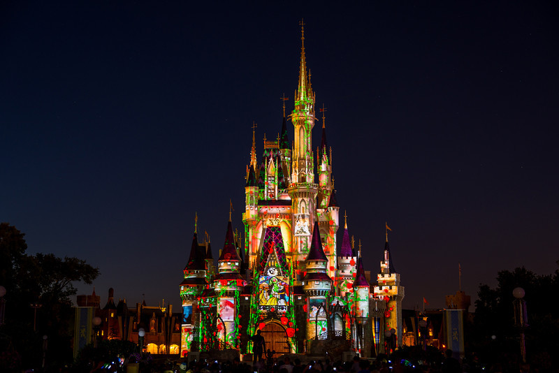 DSC_3685-L.jpg