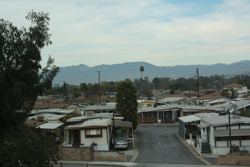 IMG0792-L.jpg