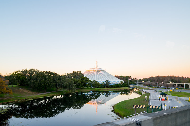 DSC_8203-L.jpg