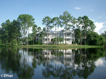 okw98.jpg