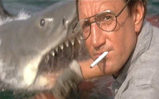 jaws_swims_behind_chief_brody-1.jpg