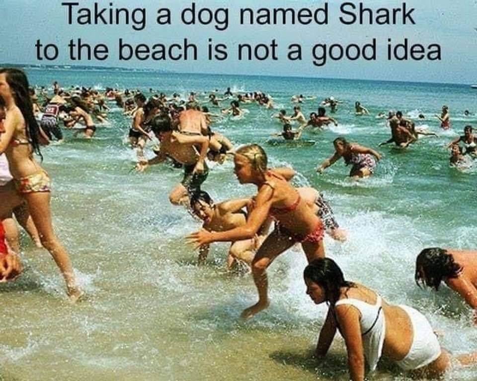 62d572c2053ff.jpeg