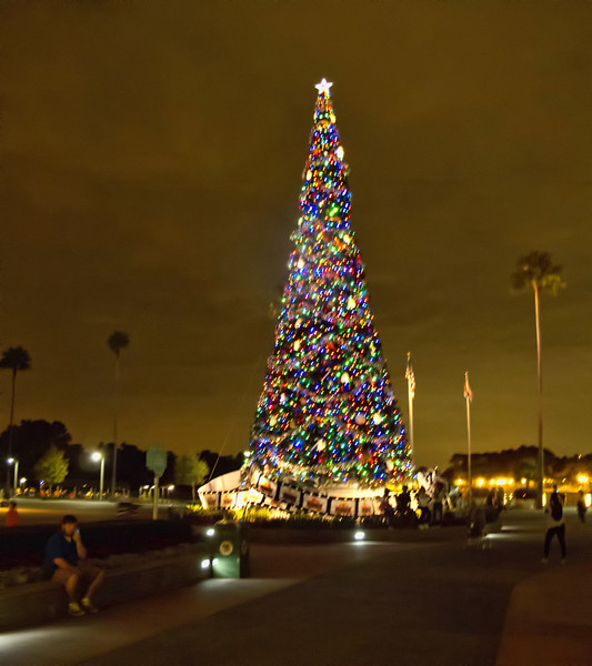 IMG_7784final-L.jpg