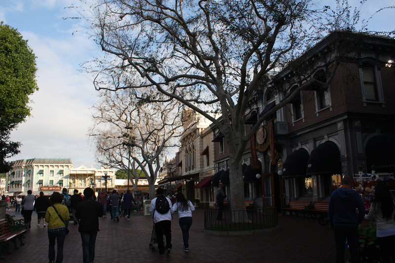 IMG_1688-L.jpg