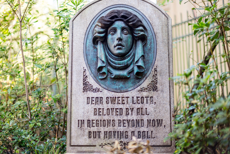 DSC_6624-L.jpg