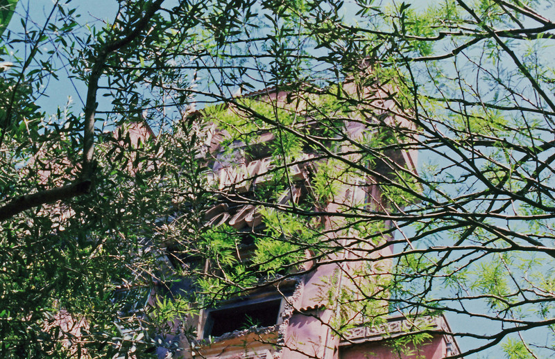 1200869845_JbfTA-L.jpg