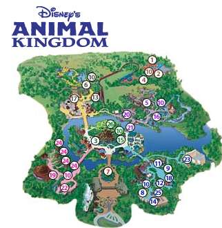 Animal-Kingdom1.jpg