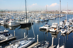 2691286458_ca78453fdd_m.jpg