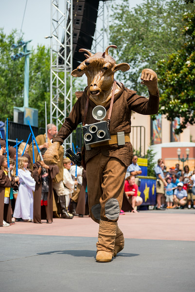 DSC_6293-L.jpg