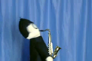 tumblr_lh8txeF8sA1qfn2f2o1_400.gif