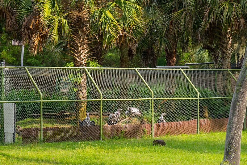 DSC_2087-L.jpg