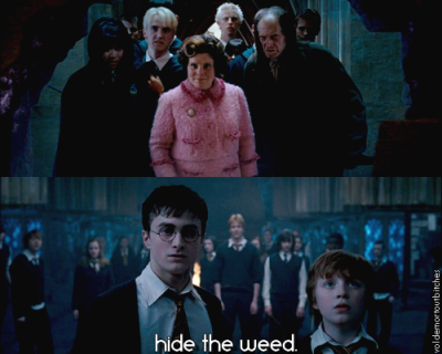tumblr_l113dtrCZo1qaakfwo1_400.png