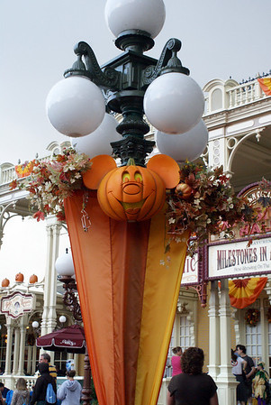 398432177_ahFWN-M-1.jpg