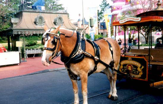 WDW-1997-Horse-trolley.jpg
