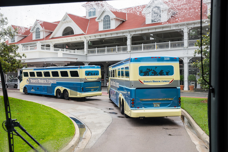 DSC_2089-L.jpg