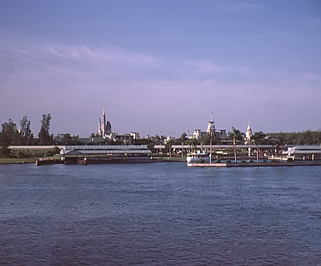 IMG0002-L.jpg