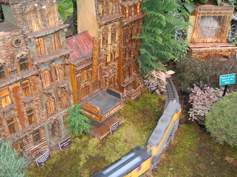 DSCN9560-L.jpg