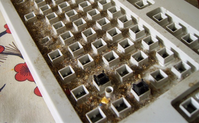 under-keys.jpg