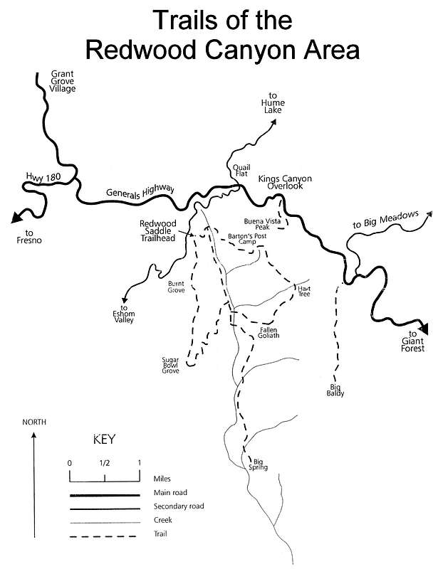 257431.jpg