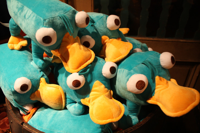 IMG9628-L.jpg
