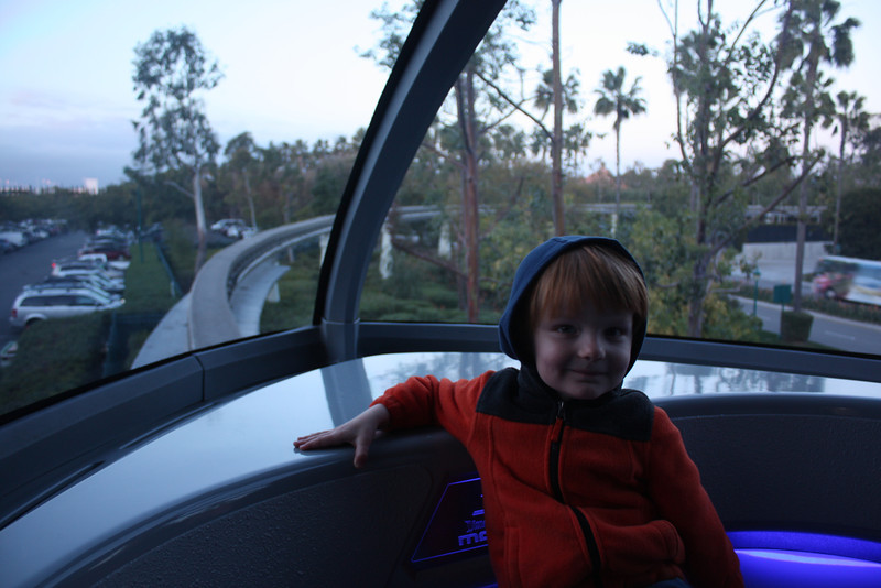 IMG2314-L.jpg