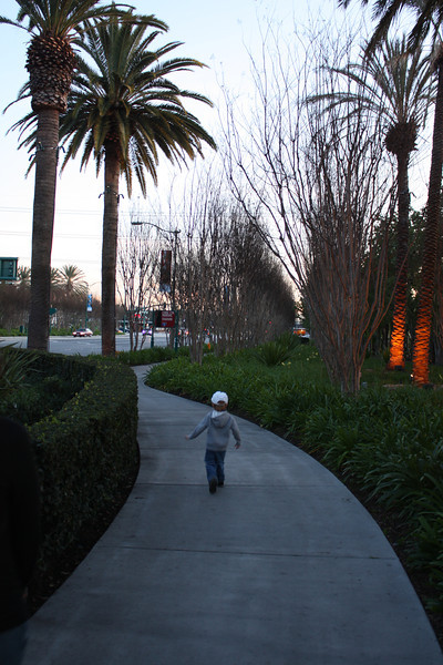 IMG0329-L.jpg