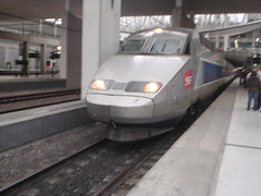 4610790881_95aa5a2f58_m.jpg
