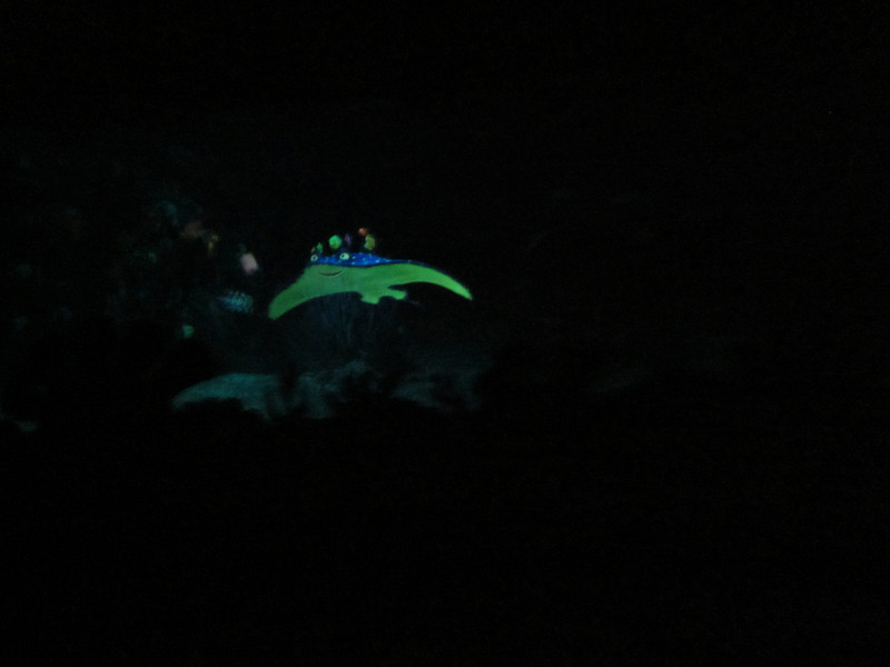 IMG1029-L.jpg