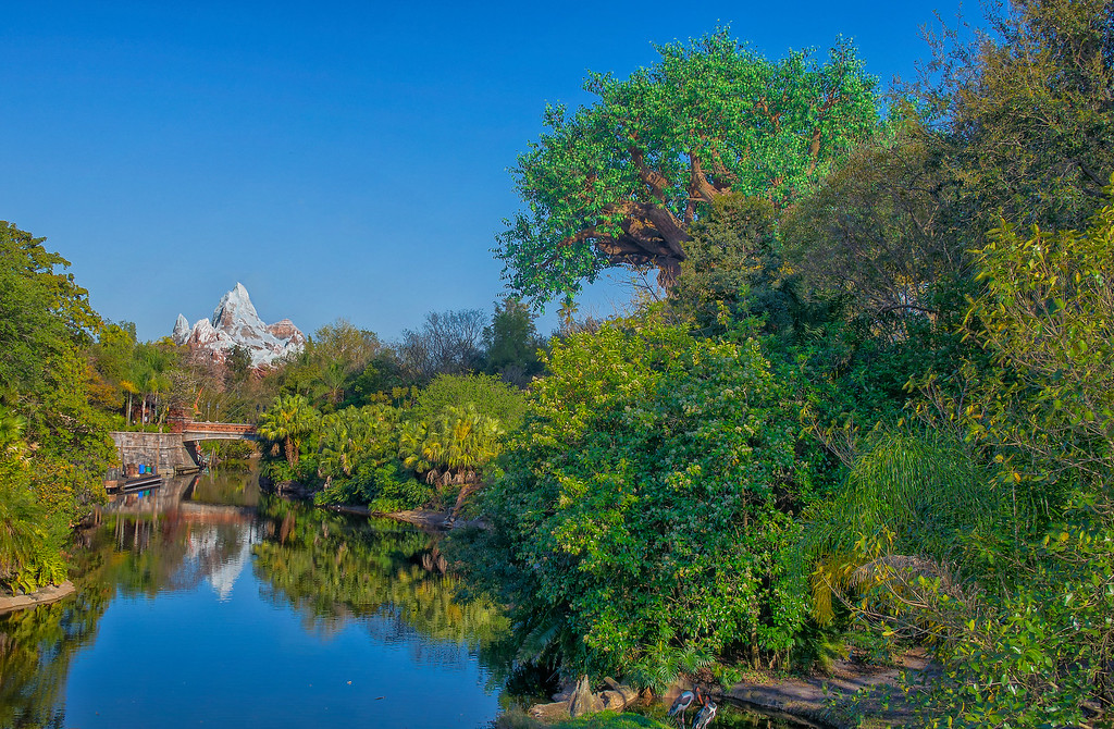 DSC_3586_7_8_tonemapped-XL.jpg