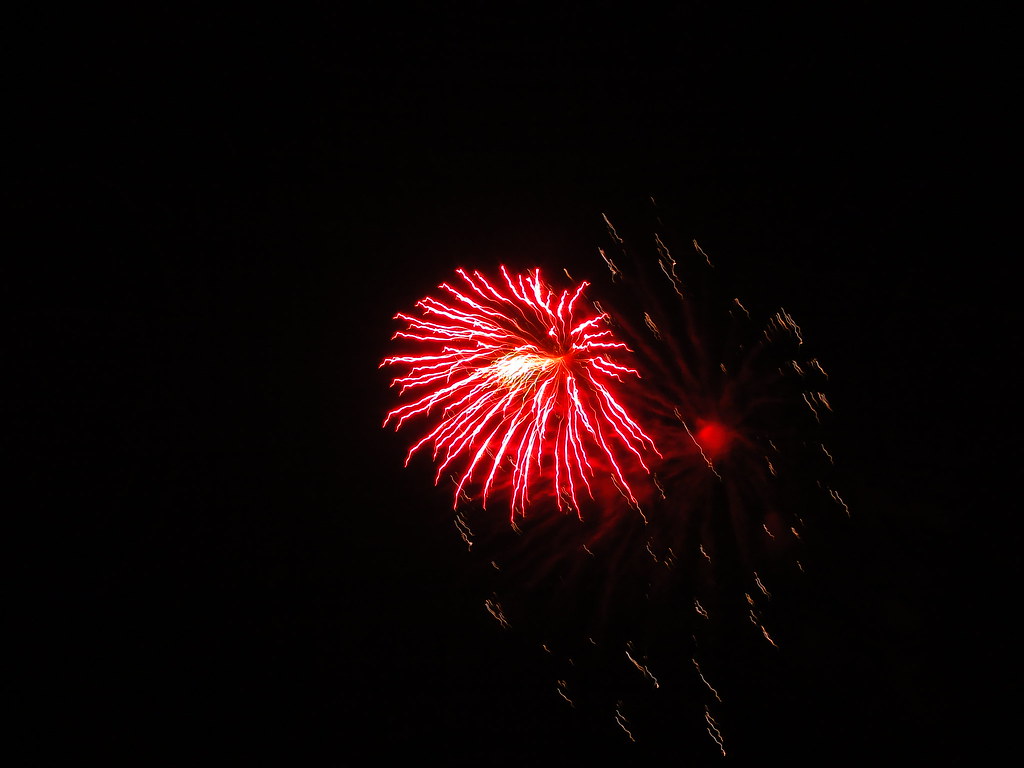 4649518053_e98a208851_b.jpg