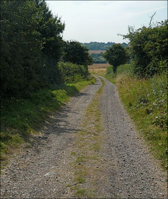 country-road-1.jpg
