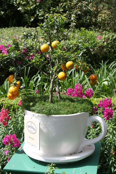 1218620033_psbM2-L.jpg