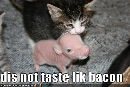 tumblr_liy9db5aay1qg3iu7o1_500.jpg