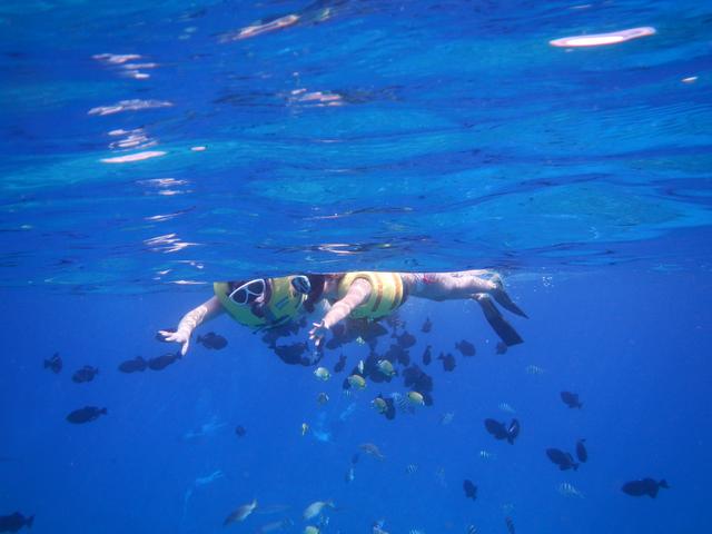 DSCN0794.jpg