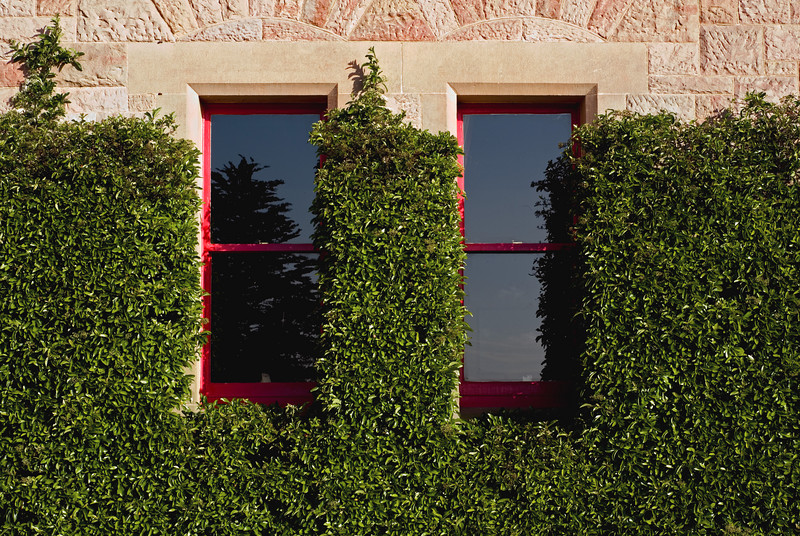 157496651_Mjxhi-L-1.jpg