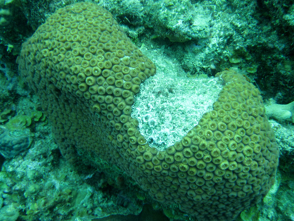 p563479836-3.jpg
