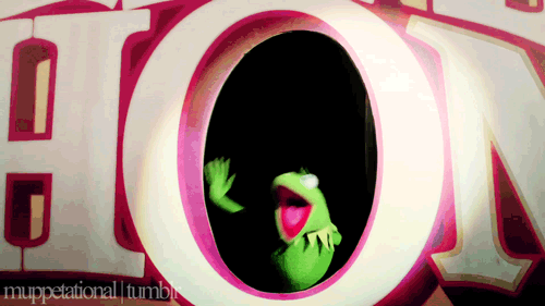 tumblr_lus2rcJtVr1r0z9mso1_500.gif
