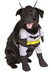 s_PetsBatDogImage.jpg
