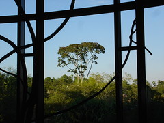264768544_065da05aa5_m.jpg