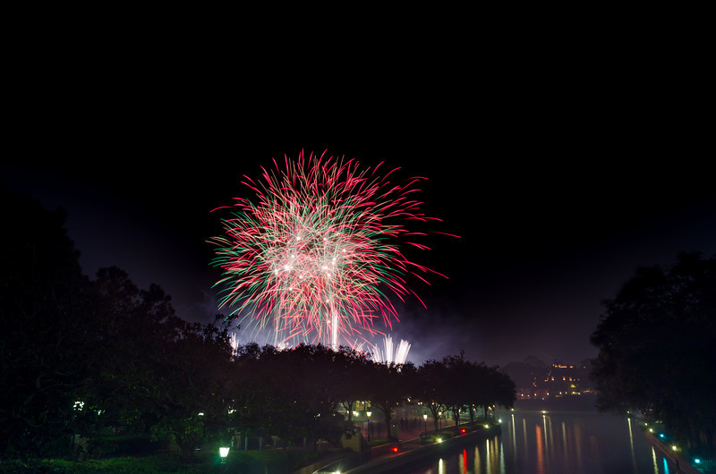 DSC0442-L.jpg