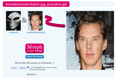tumblr_mo5s7nY2G71rr21klo1_500.png