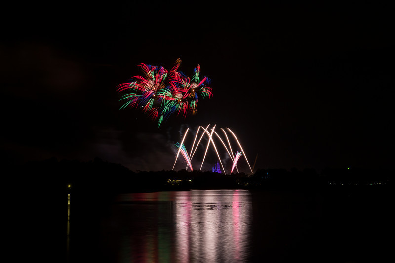 DSC_1545-L.jpg