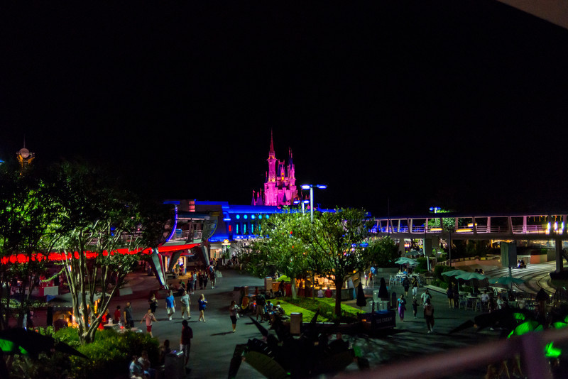 DSC_2338-L.jpg