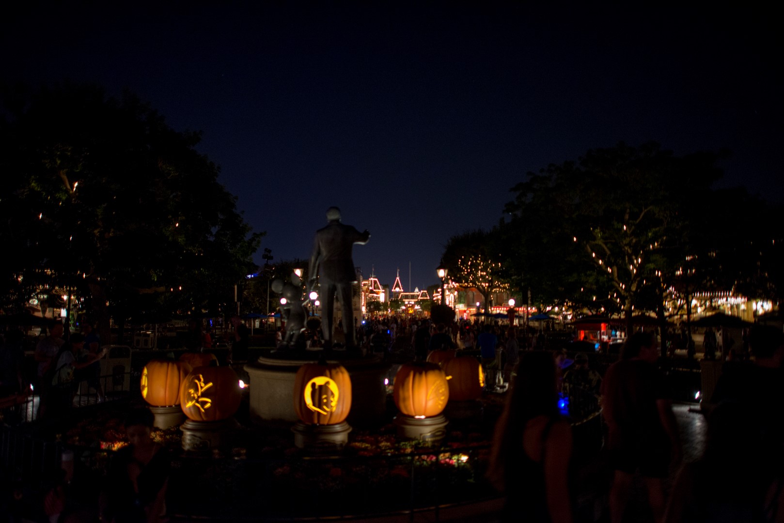 DSC_3891%20(Large).jpg