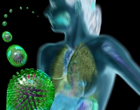 How-Does-the-Bird-Flu-Virus-Attack-the-Human-Body-2.jpg