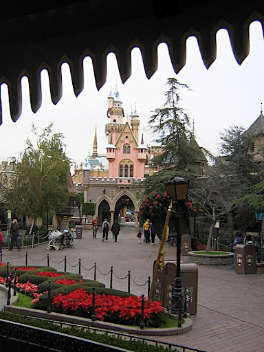 IMG_9517.JPG