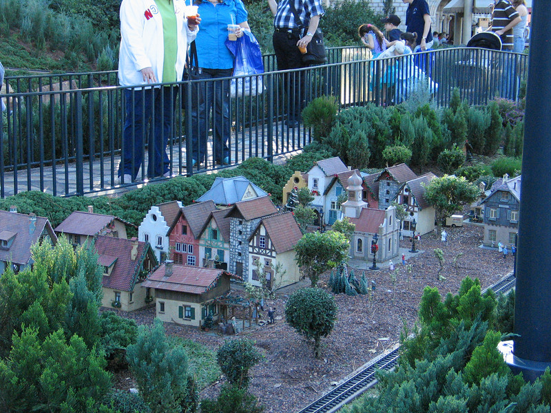 IMG8180-L.jpg