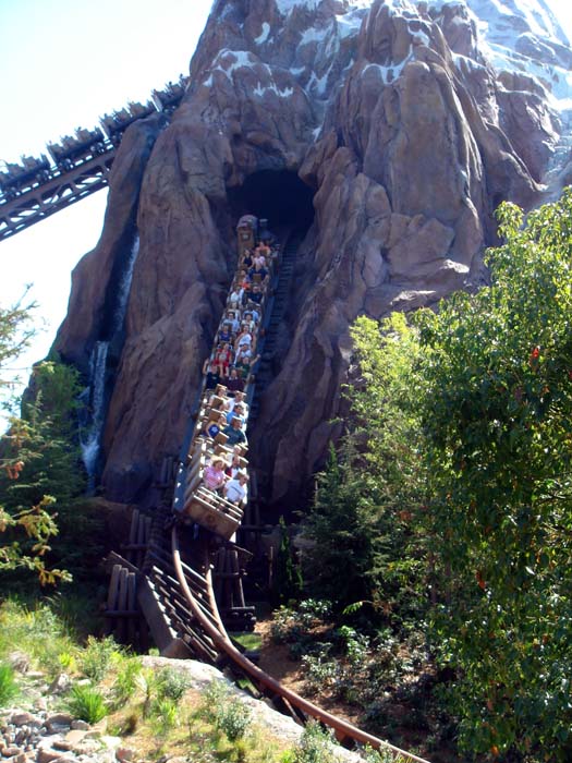 wdw1_192.jpg