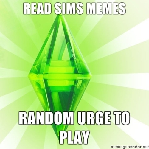 tumblr_lkb4bnGWpG1qffgx4o1_500.jpg