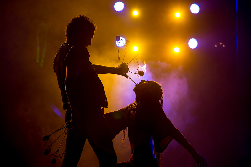 DSC_9318-L.jpg